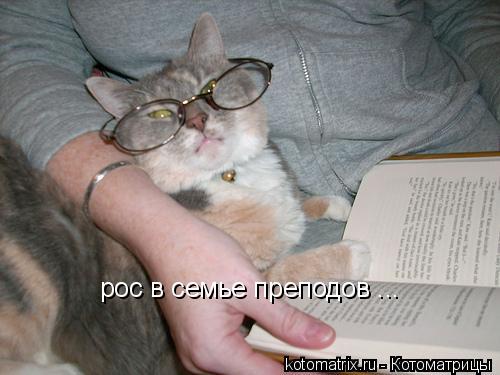 рос в семье преподов ...... Котоматрица: рос в семье преподов ...