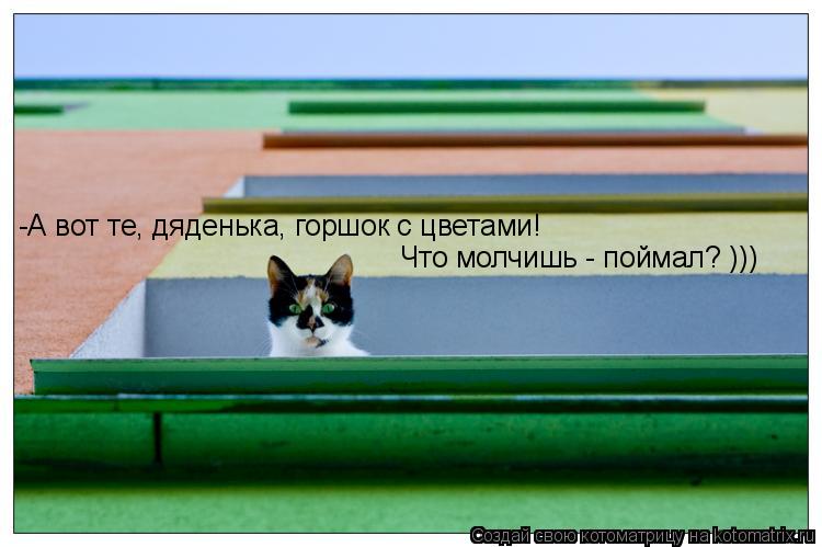 -А вот те, дяденька, горшок с цветами! Что молчишь - поймал? )))... Котоматрица: -А вот те, дяденька, горшок с цветами! Что молчишь - поймал? )))
