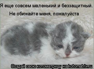 Не обижайте меня, пожалуйста Я еще совсем маленький и беззащитный.... Котоматрица: Не обижайте меня, пожалуйста Я еще совсем маленький и беззащитный.