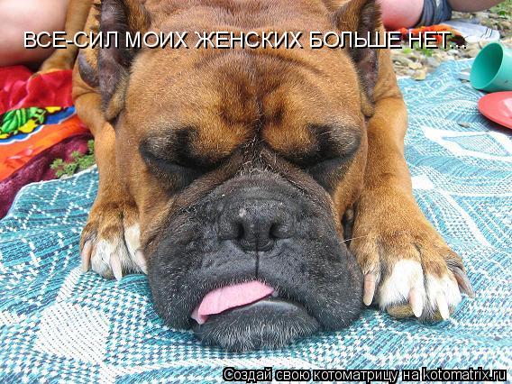ВСЕ-СИЛ МОИХ ЖЕНСКИХ БОЛЬШЕ НЕТ...... Котоматрица: ВСЕ-СИЛ МОИХ ЖЕНСКИХ БОЛЬШЕ НЕТ...