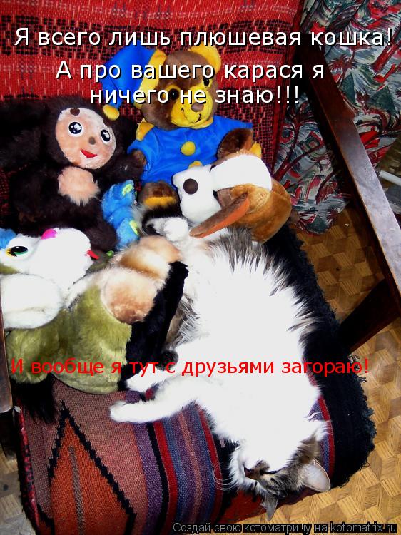 Котоматрица: Я всего лишь плюшевая кошка! А про вашего карася я  ничего не знаю!!! И вообще я тут с друзьями загораю!