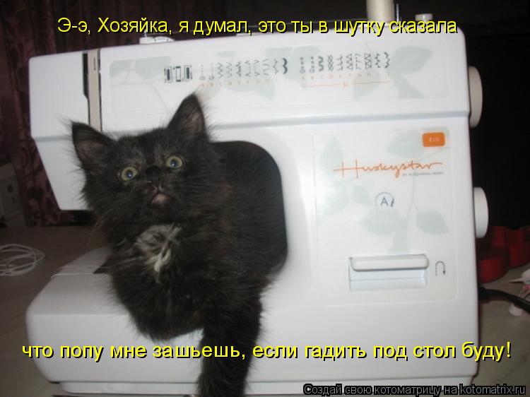 Э-э, Хозяйка, я думал, это ты в шутку сказала что попу мне зашьешь, если гадить под стол буду!... Котоматрица: Э-э, Хозяйка, я думал, это ты в шутку сказала что попу мне зашьешь, если гадить под стол буду!