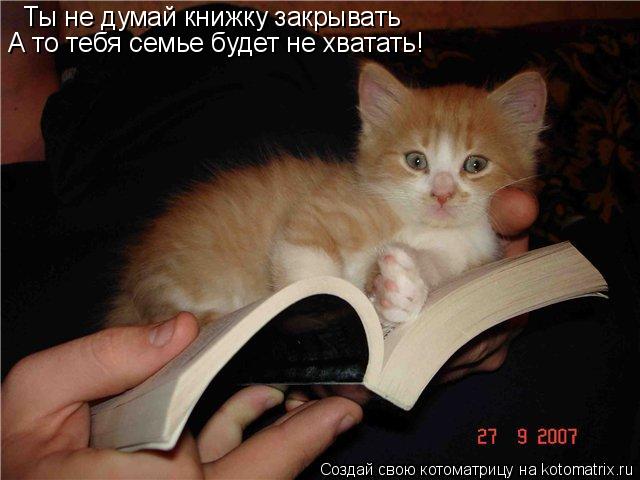 Котоматрица: Ты не думай книжку закрывать А то тебя семье будет не хватать!