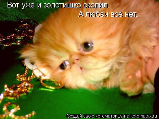 Вот уже и золотишко скопил. А любви всё нет.... Котоматрица: Вот уже и золотишко скопил. А любви всё нет.
