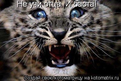 Hе учи отца. И баста!... Котоматрица: Hе учи отца. И баста!