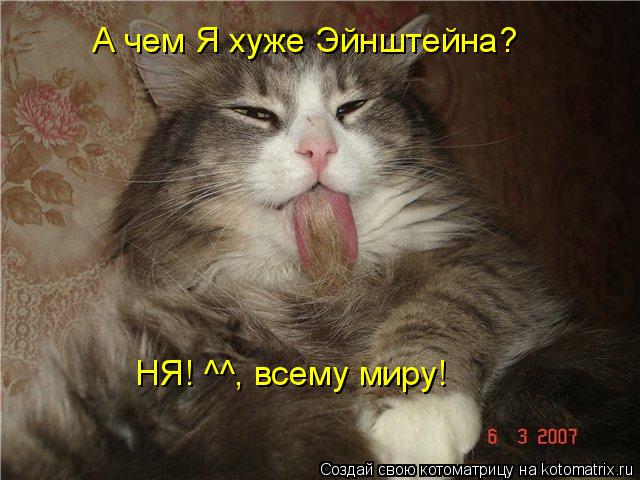 А чем Я хуже Эйнштейна? НЯ! ^^, всему миру!... Котоматрица: А чем Я хуже Эйнштейна? НЯ! ^^, всему миру!