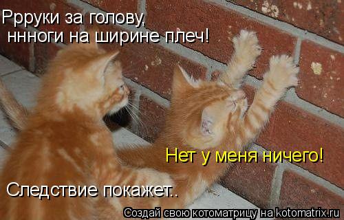 Ррруки за голову, ннноги на ширине плеч! Нет у меня ничего! Следствие покажет..... Котоматрица: Ррруки за голову, ннноги на ширине плеч! Нет у меня ничего! Следствие покажет..