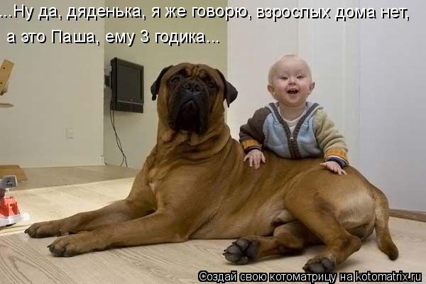 ...Ну да, дяденька, я же говорю, взрослых дома нет, а это Паша, ему 3 годика...... Котоматрица: ...Ну да, дяденька, я же говорю, взрослых дома нет, а это Паша, ему 3 годика...