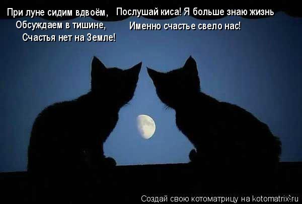 Котоматрица: При луне сидим вдвоём, Обсуждаем в тишине, Счастья нет на Земле! Послушай киса! Я больше знаю жизнь Именно счастье свело нас!