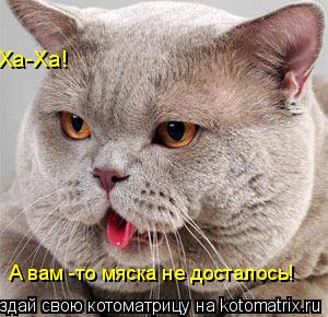 А вам -то мяска не досталось! Ха-Ха!... Котоматрица: А вам -то мяска не досталось! Ха-Ха!