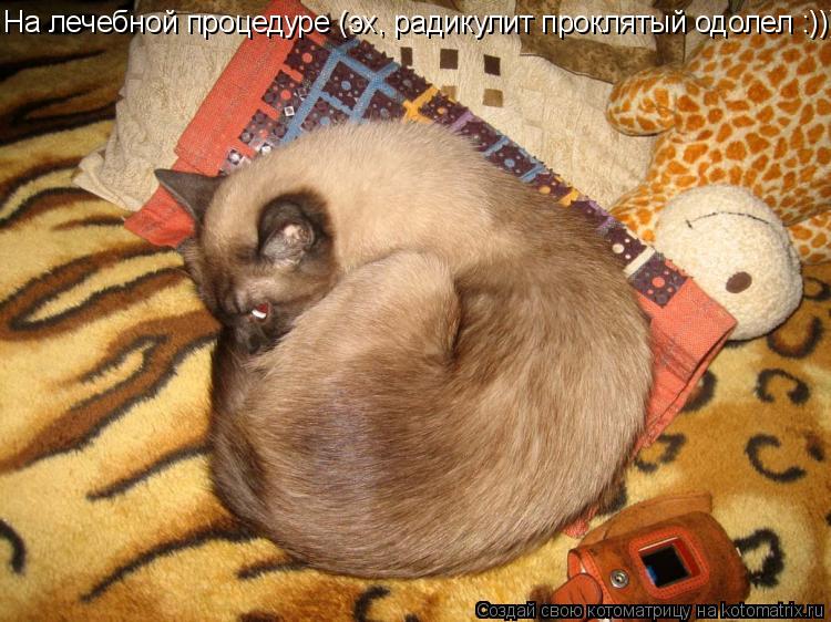 Котоматрица: На лечебной процедуре (эх, радикулит проклятый одолел :)))