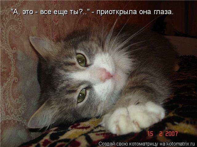 "А, это - все еще ты?.." - приоткрыла она глаза.... Котоматрица: "А, это - все еще ты?.." - приоткрыла она глаза.