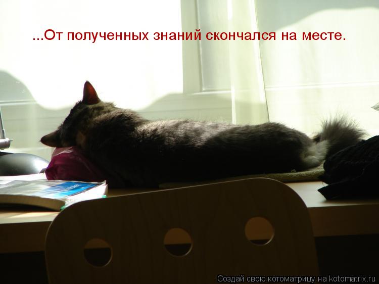 Котоматрица: ...От полученных знаний скончался на месте.