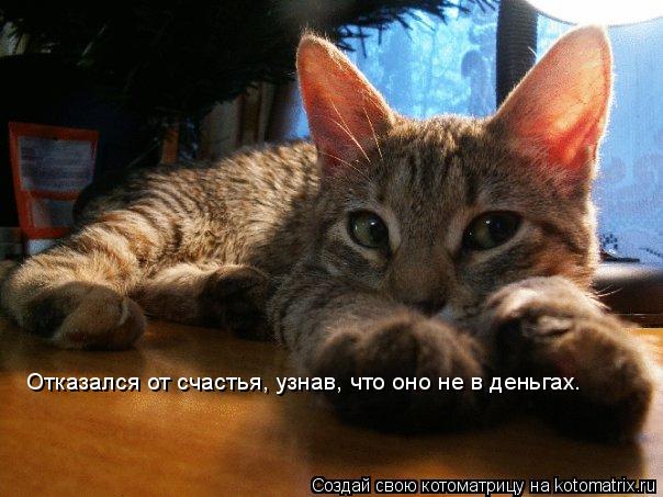 Отказался от счастья, узнав, что оно не в деньгах.... Котоматрица: Отказался от счастья, узнав, что оно не в деньгах.