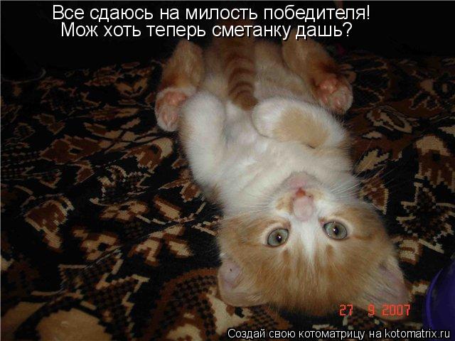 Котоматрица: Все сдаюсь на милость победителя! Мож хоть теперь сметанку дашь?