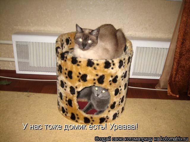 Котоматрица: У нас тоже домик есть! Ураааа!