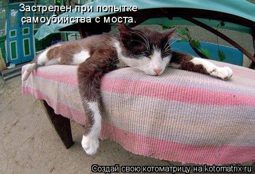 Котоматрица: Застрелен при попытке  самоубийства с моста.