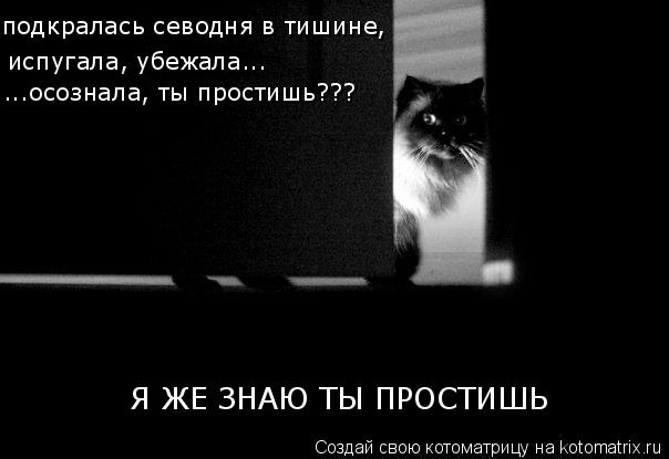 подкралась севодня в тишине, испугала, убежала... ...осознала, ты простишь??? Я ЖЕ ЗНАЮ ТЫ ПРОСТИШЬ... Котоматрица: подкралась севодня в тишине, испугала, убежала... ...осознала, ты простишь??? Я ЖЕ ЗНАЮ ТЫ ПРОСТИШЬ