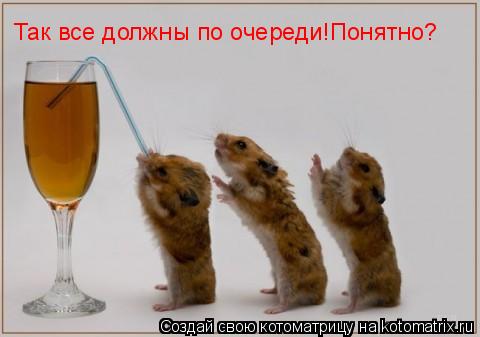 Так все должны по очереди!Понятно?... Котоматрица: Так все должны по очереди!Понятно?