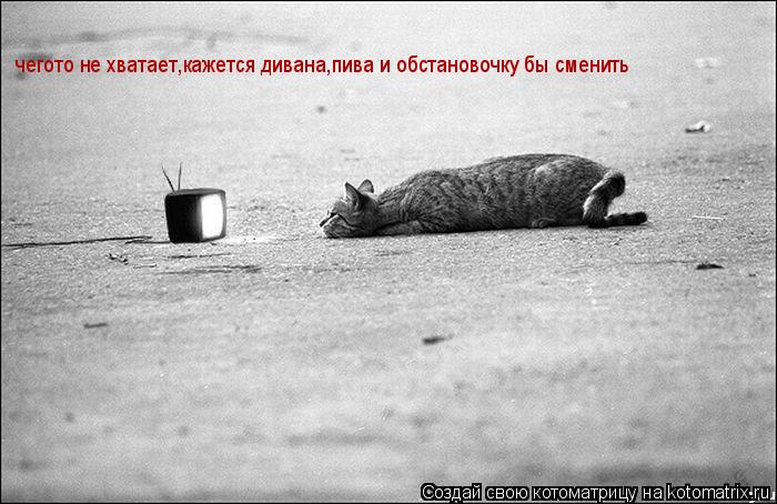 я не знал что телевизор смотреть так интересно, но всё равно чегото не хвотает кажется дивана, пива и... Котоматрица: я не знал что телевизор смотреть так интересно, но всё равно чегото не хвотает кажется дивана, пива и абстановочку бы сменить чегото не хва