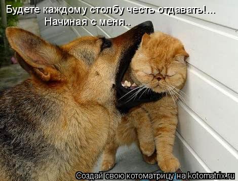 Будете каждому столбу честь отдавать!... Начиная с меня..... Котоматрица: Будете каждому столбу честь отдавать!... Начиная с меня..