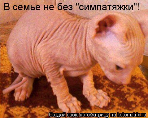 В семье не без "симпатяжки"!... Котоматрица: В семье не без "симпатяжки"!