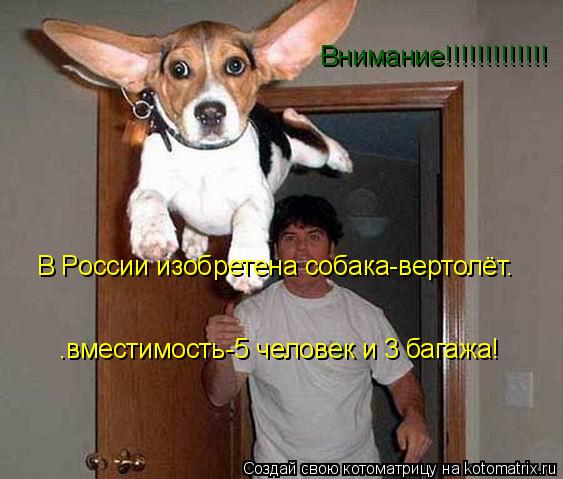 Внимание!!!!!!!!!!!!! В России изобретена собака-вертолёт. .вместимость-5 человек и 3 багажа!... Котоматрица: Внимание!!!!!!!!!!!!! В России изобретена собака-вертолёт. .вместимость-5 человек и 3 багажа!