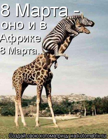 8 Марта - оно 8 Марта - оно и в Африке 8 Марта...... Котоматрица: 8 Марта - оно 8 Марта - оно и в Африке 8 Марта...