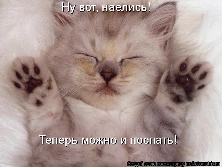 Котоматрица: Ну вот, наелись! Теперь можно и поспать!
