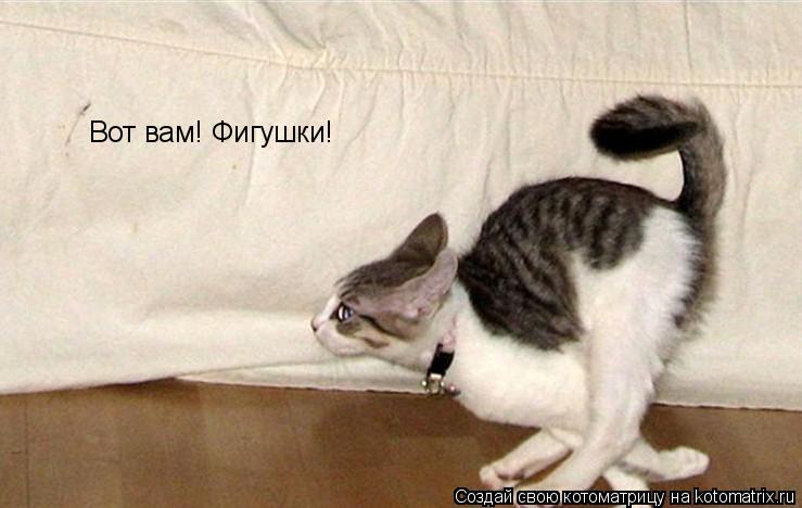 Вот вам! Фигушки!... Котоматрица: Вот вам! Фигушки!