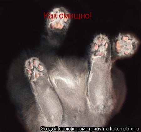 Как смищно!... Котоматрица: Как смищно!