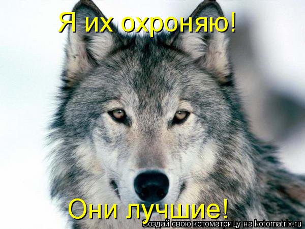 Котоматрица: Я их охроняю! Они лучшие!