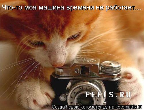 Котоматрица: Что-то моя машина времени не работает....