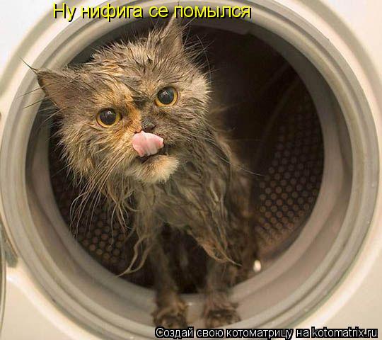 Ну нифига се помылся... Котоматрица: Ну нифига се помылся
