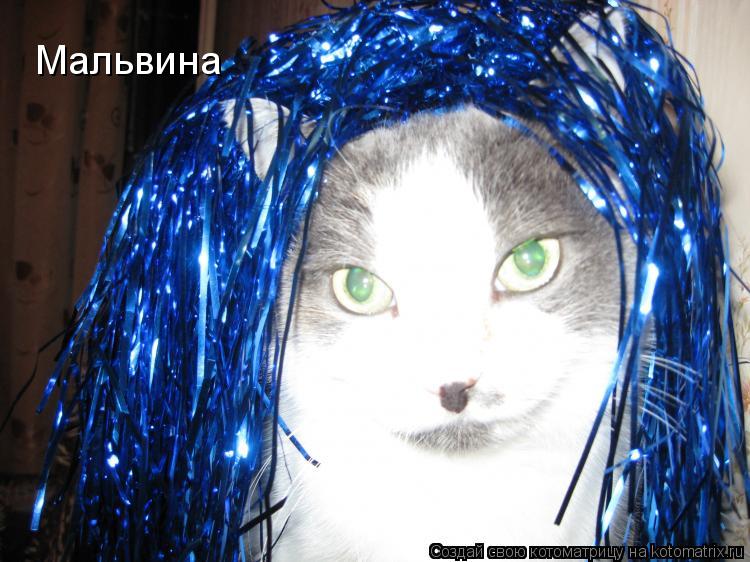 Мальвина... Котоматрица: Мальвина