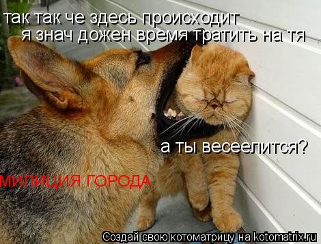 так так че здесь происходит я знач дожен время тратить на тя а ты весеелится? МИЛИЦИЯ ГОРОДА... Котоматрица: так так че здесь происходит я знач дожен время тратить на тя а ты весеелится? МИЛИЦИЯ ГОРОДА