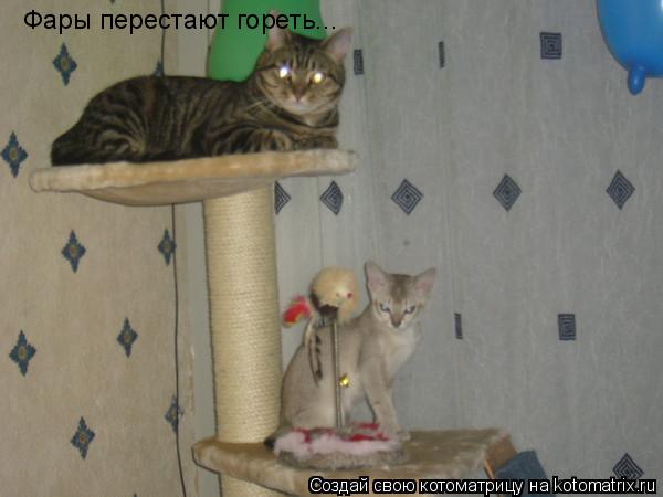 Котоматрица: Фары перестают гореть...