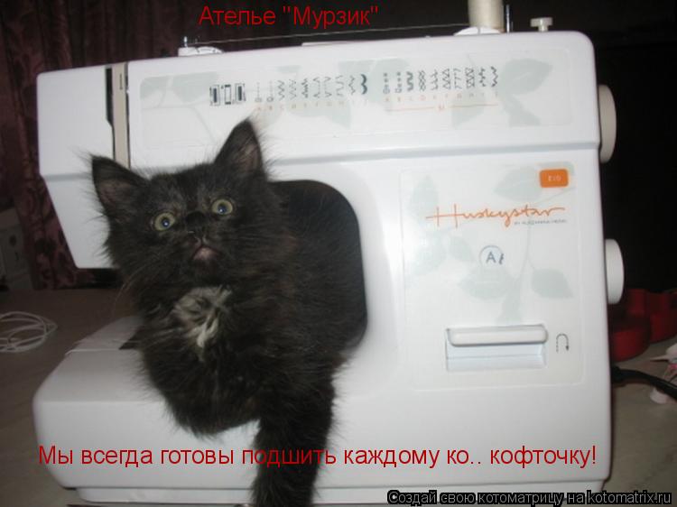 Котоматрица: Ателье "Мурзик" Мы всегда готовы подшить каждому ко.. кофточку!