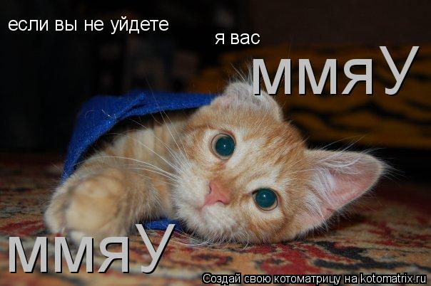 Котоматрица: если вы не уйдете  я вас  ммяУ ммяУ