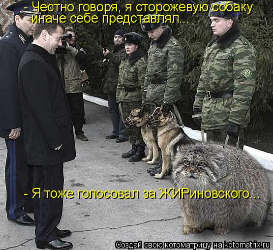 - Честно говоря, я сторожевую собаку иначе себе представлял... - Я тоже голосовал за ЖИРиновского...... Котоматрица: - Честно говоря, я сторожевую собаку иначе себе представлял... - Я тоже голосовал за ЖИРиновского...