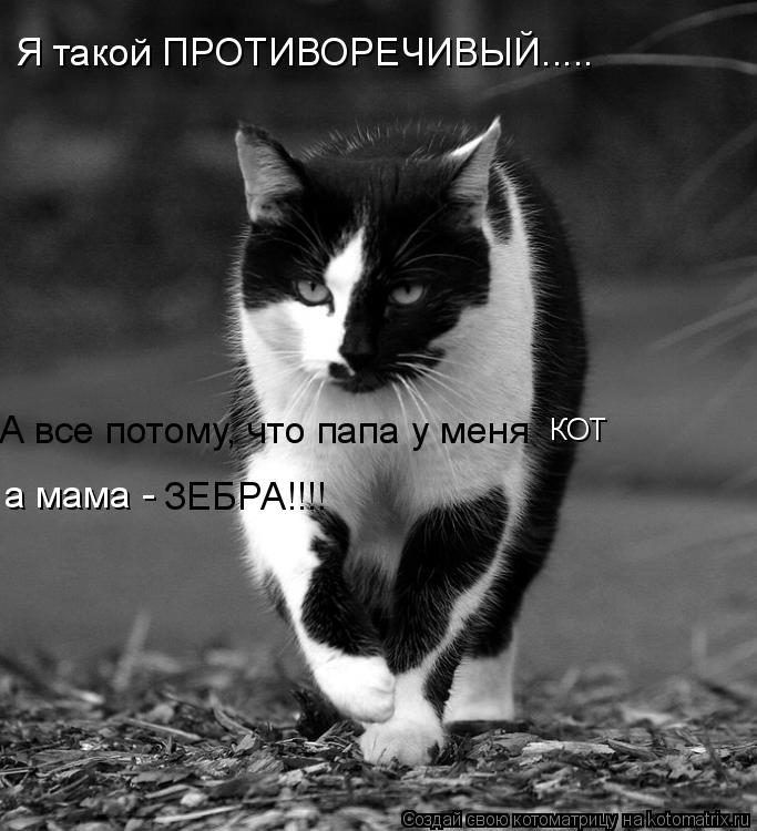 Я такой ПРОТИВОРЕЧИВЫЙ..... А все потому, что папа у меня КОТ а мама - ЗЕБРА!!!!... Котоматрица: Я такой ПРОТИВОРЕЧИВЫЙ..... А все потому, что папа у меня КОТ а мама - ЗЕБРА!!!!