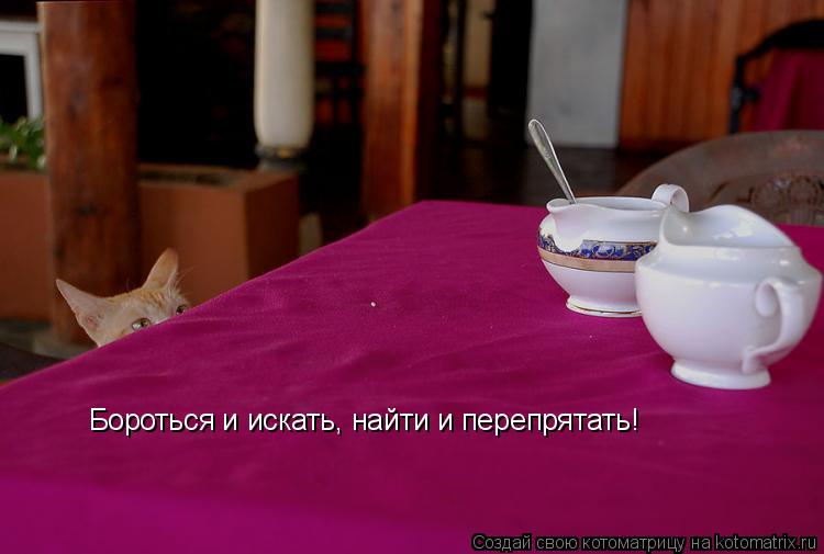 Бороться и искать, найти и перепрятать!... Котоматрица: Бороться и искать, найти и перепрятать!