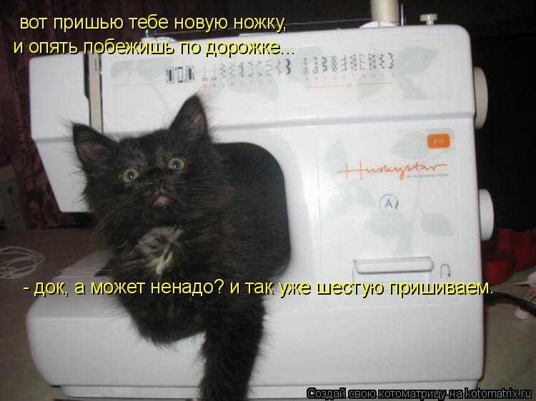 вот пришью тебе новую ножку, и опять побежишь по дорожке... - док, а может ненадо? и так уже шестую ... Котоматрица: вот пришью тебе новую ножку, и опять побежишь по дорожке... - док, а может ненадо? и так уже шестую пришиваем.