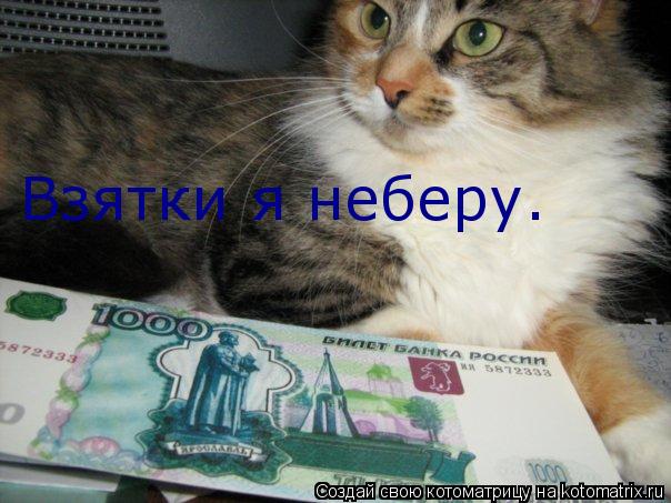 Взятки я неберу.... Котоматрица: Взятки я неберу.