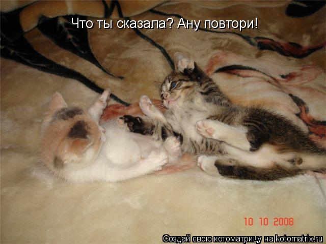 Что ты сказала? Ану повтори!... Котоматрица: Что ты сказала? Ану повтори!