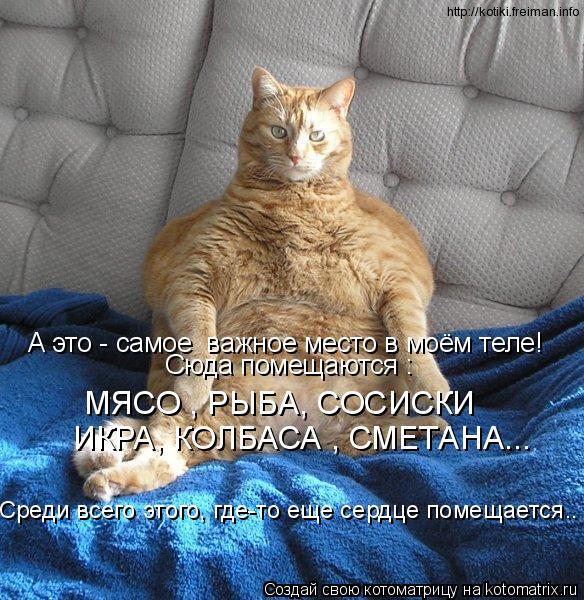 А это - самое важное место в моём теле! Сюда помещаются : МЯСО , РЫБА, СОСИСКИ ИКРА, КОЛБАСА , СМЕТ... Котоматрица: А это - самое важное место в моём теле! Сюда помещаются : МЯСО , РЫБА, СОСИСКИ ИКРА, КОЛБАСА , СМЕТАНА... Среди всего этого, где-то еще сердце по