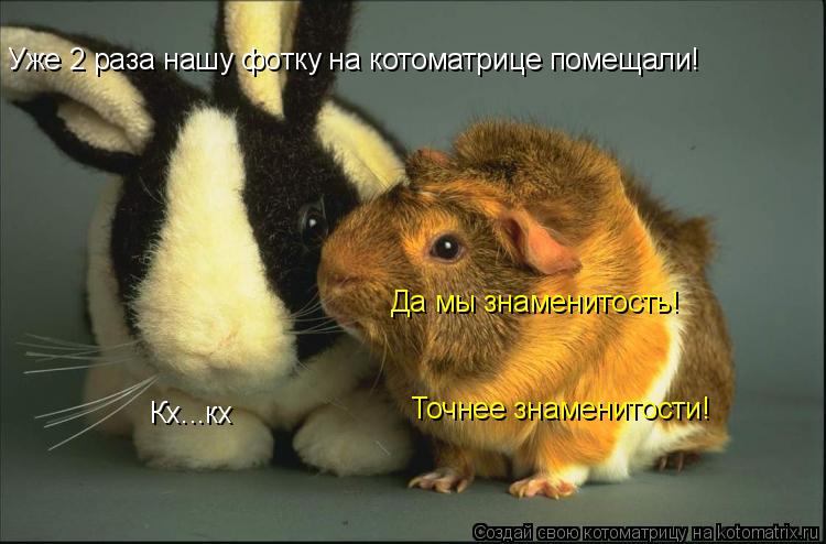 Уже 2 раза нашу фотку на котоматрице помещали! Кх...кх Точнее знаменитости! Да мы знаменитость!... Котоматрица: Уже 2 раза нашу фотку на котоматрице помещали! Кх...кх Точнее знаменитости! Да мы знаменитость!