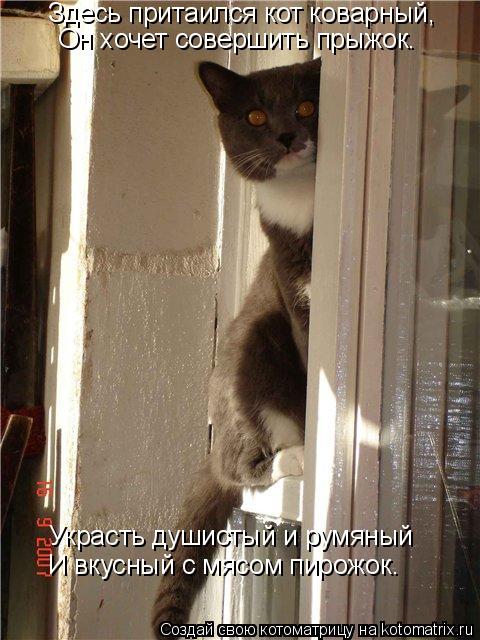 Котоматрица: Здесь притаился кот коварный,  Он хочет совершить прыжок. Украсть душистый и румяный И вкусный с мясом пирожок.