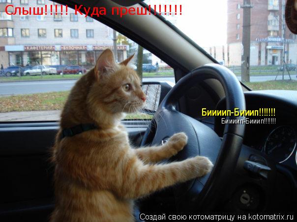 Котоматрица: Слыш!!!!! Куда преш!!!!!!! Биииип-Бииип!!!!!!! Биииип-Бииип!!!!!!!
