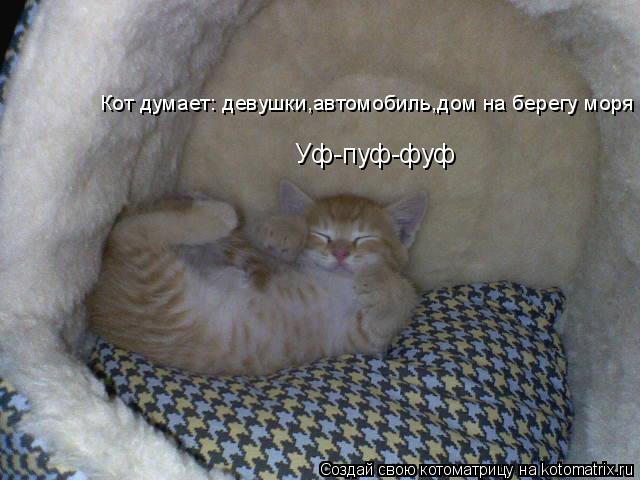 Уф-пуф-фуф Кот думает: девушки,автомобиль,дом на берегу моря... Котоматрица: Уф-пуф-фуф Кот думает: девушки,автомобиль,дом на берегу моря